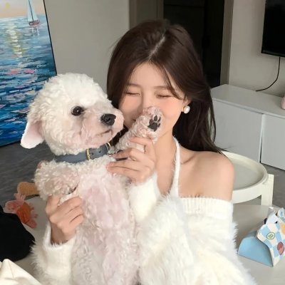 一袋锤子