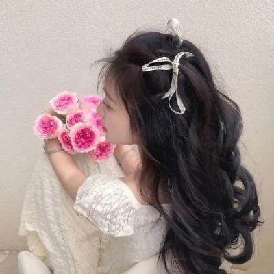 日蚀入侵